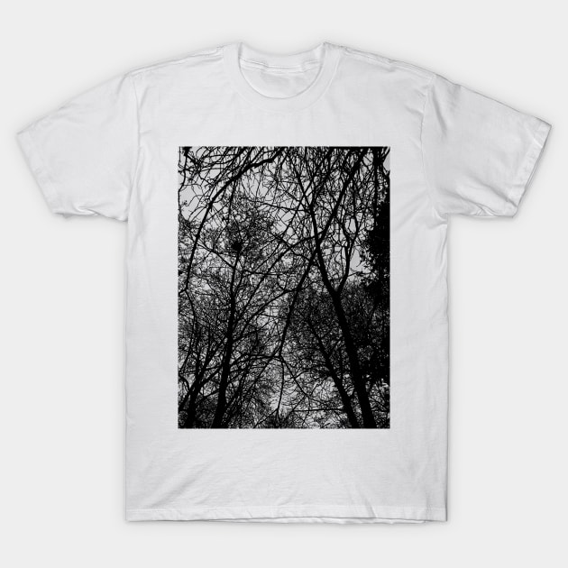 Trees at Mottisfont T-Shirt by dipweb